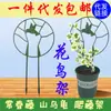 Soporte Verde para Plantas Trepadoras Como Potos, Planta Tortuga, Clemátide e Hiedra; Enrejado Pequeño para Plantas Verdes; Soporte de Flores y Pájaros