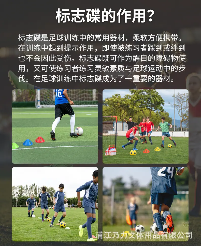 标志碟_03.jpg