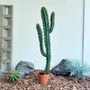 Ornamentos de Cacto Artificial e Cacto Colunar, Combinação de Paisagismo com Plantas Falsas para Decoração de Vitrine de Shopping e Arranjo de Cena, Plantas Verdes Realistas de Alta Qualidade
