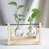 Planta hidropônica criativa vaso de madeira transparente desktop pequeno recipiente fresco sala de estar decorações modernas