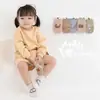26 Calcetines de Piso Nuevos para Niños de Primavera y Otoño, Calcetines de Bebé de Algodón Peinado, Calcetines Antideslizantes para Niños Pequeños, Calcetines de Algodón de Tubo Medio con Dibujos Animados