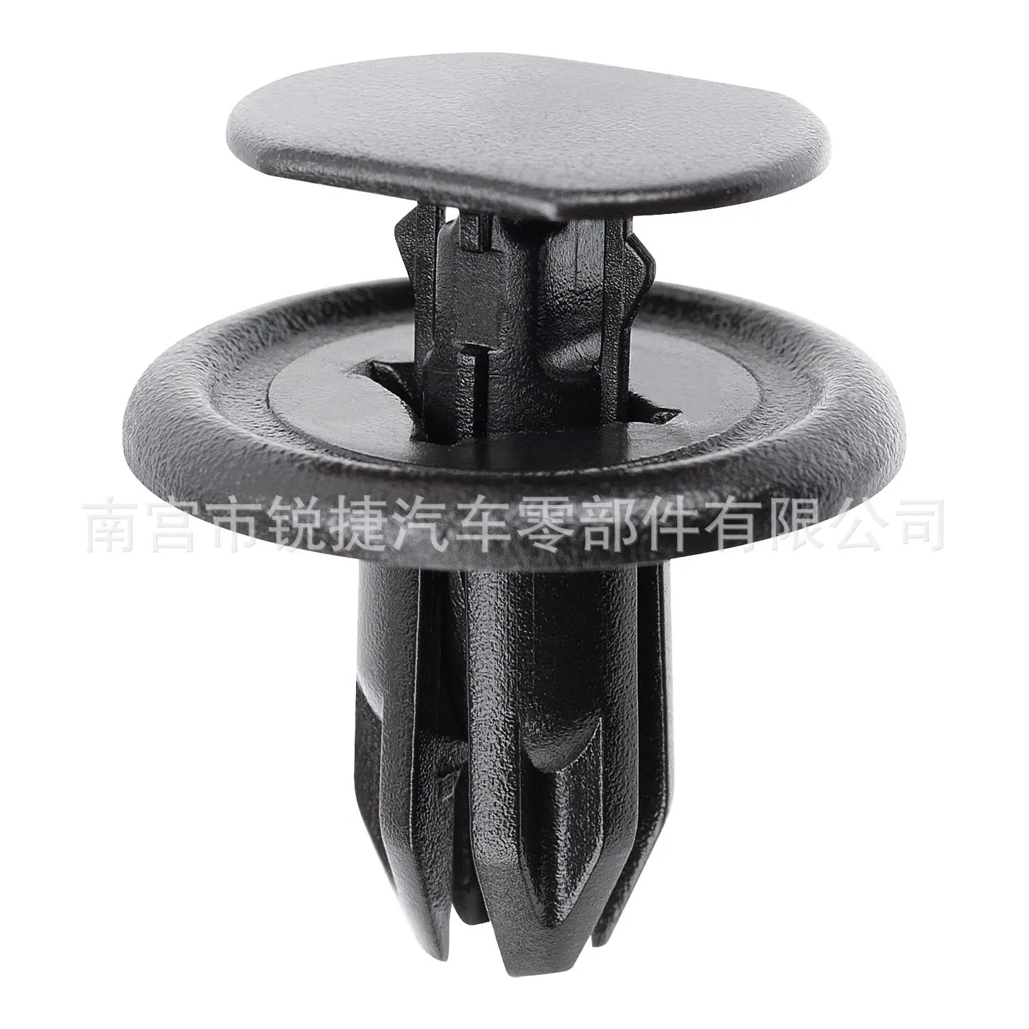 BGV456145 (1)
