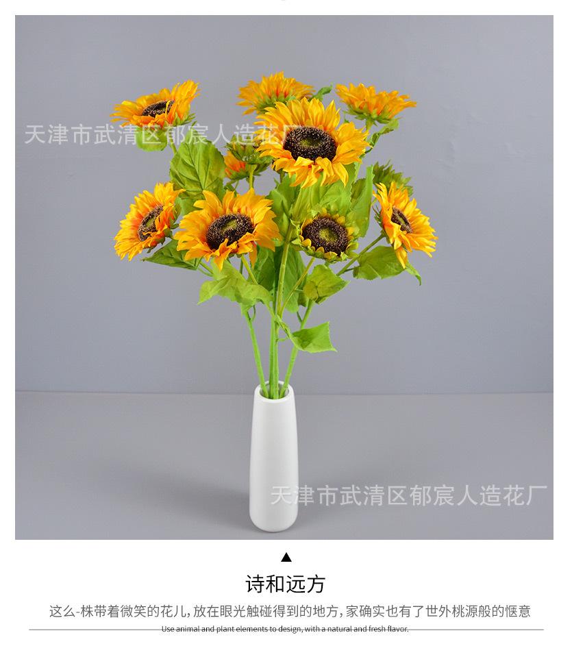 详情_05.jpg