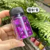20ml Láser Mezclado Celebridad de Internet Explosivo Uñas Artísticas Lentejuelas Pegamento Funda de Teléfono Arena Movediza Mezclado Polvo Brillante Lentejuelas Brillantes