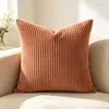 Funda de Almohada de Felpa Amazon Corduroy de Costilla 2.5 Funda de Cojín Multicolor Rayada Cojín de Sofá Superventas Transfronterizo