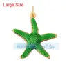 L34 colar pingente colorido Areva vieira estrela-do-mar cavalo-marinho charm joia de verão para praia e férias