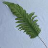 Yuanbao Pena Vermelha Folha Decoração de Casamento Teto Flor Falsa Decoração de Casamento Flor Simulação Material de Folha de Planta Verde
