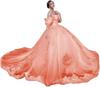 AliExpress Amazon Lace Decal Open Shoulder Adulto Cerimônia Tutu Vestido Vestido De Baile Vestido De Princesa Vestido Feminino