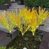 Luces de Caña de Fibra Óptica LED, Luces de Flores Simuladas, Luces Decorativas de Jardín Resistentes a la Lluvia para Exteriores, Luces de Suelo para Ambiente de Césped de Revitalización Rural