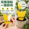 Tablero Atrapamoscas Adhesivo Amarillo Doble Cara Atrapador de Moscas de la Fruta y Mosquitos de Hongo para Hogar Maceta Florero de Jardín Pegatina Trampa para Insectos