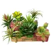 2026 Simulación de Suculentas Mini Adornos Combinación Decoración Exterior para el Hogar Plantas en Maceta Bonsái Suculentas Decoración al por Mayor