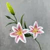 Direto da Fábrica nova flor artificial Galho Alto 2 Lírios pétalas com sensação de impressão 3D arranjo de flores para casa flor artificial decorativa