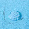 Conchas de resina, acessórios com tema marinho, decorações DIY em miniatura de resina para micro-paisagens, enfeites para capa de celular