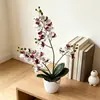 Planta de orquídea Phalaenopsis artificial de 2 tallos y 21 flores, transfronteriza, en maceta, para sala de estar y dormitorio, planta de flor artificial en maceta para decoración de fotografía de boda, maceta pequeña