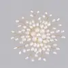 Broches para Vestido Traje Estilo Europeo y Americano, Broche Brillante de Lujo Ligero para Socialité con Diamantes Completos, Accesorio para Cintura que Ceñe el Vestido de Noche de la Novia