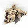 [Fábrica] Hongo Peludo de Espalda Blanca de Cabeza Grande Primera Cosecha de Shandong 0.5kg Crujiente Alta Tasa de Espuma Ensalada Fría Oem