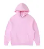 Estilo Nuevo Otoño e Invierno 350g Talla Europea Grande Gruesa Sudadera con Capucha de Forro Polar Chaqueta para Hombre Marca de Moda Bordado de Logo