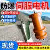 Servomotor Antiexplosivo con Control de Alta Precisión, Fuerte Adaptabilidad, Período de Garantía Prolongado