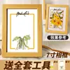 Dispositivo de Relevo Taibao DIY Caseiro Conjunto de Dispositivo de Relevo de Espécimes de Plantas Ferramenta Manual para Flores Secas Fatias de Frutas