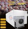 Shanjiazi Secador de Energia Aérea Fitoterapia Chinesa Ganjiazi Frutas Secas Máquina de Cozimento de Torção de Montanha Shanjianzi Equipamento de Secagem