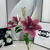 Flores Artificiais Vermelhas, Flores Artificiais Bordô, Flores Artificiais Phalaenopsis no Atacado, Flores de Casamento, Flores de Chão para Casamento