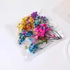 Transfronterizo dedicado a ramo pequeño DIY, gota de pegamento, relleno, flor real, estrella por todo el cielo, hortensia, flor inmortal, bolsa de materiales de un millón de estrellas