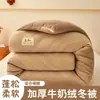 Manta gruesa de vellón de leche de doble cara, manta de franela para primavera/otoño, manta de vellón de cordero para invierno, núcleo de manta para dormitorio, comercio electrónico transfronterizo
