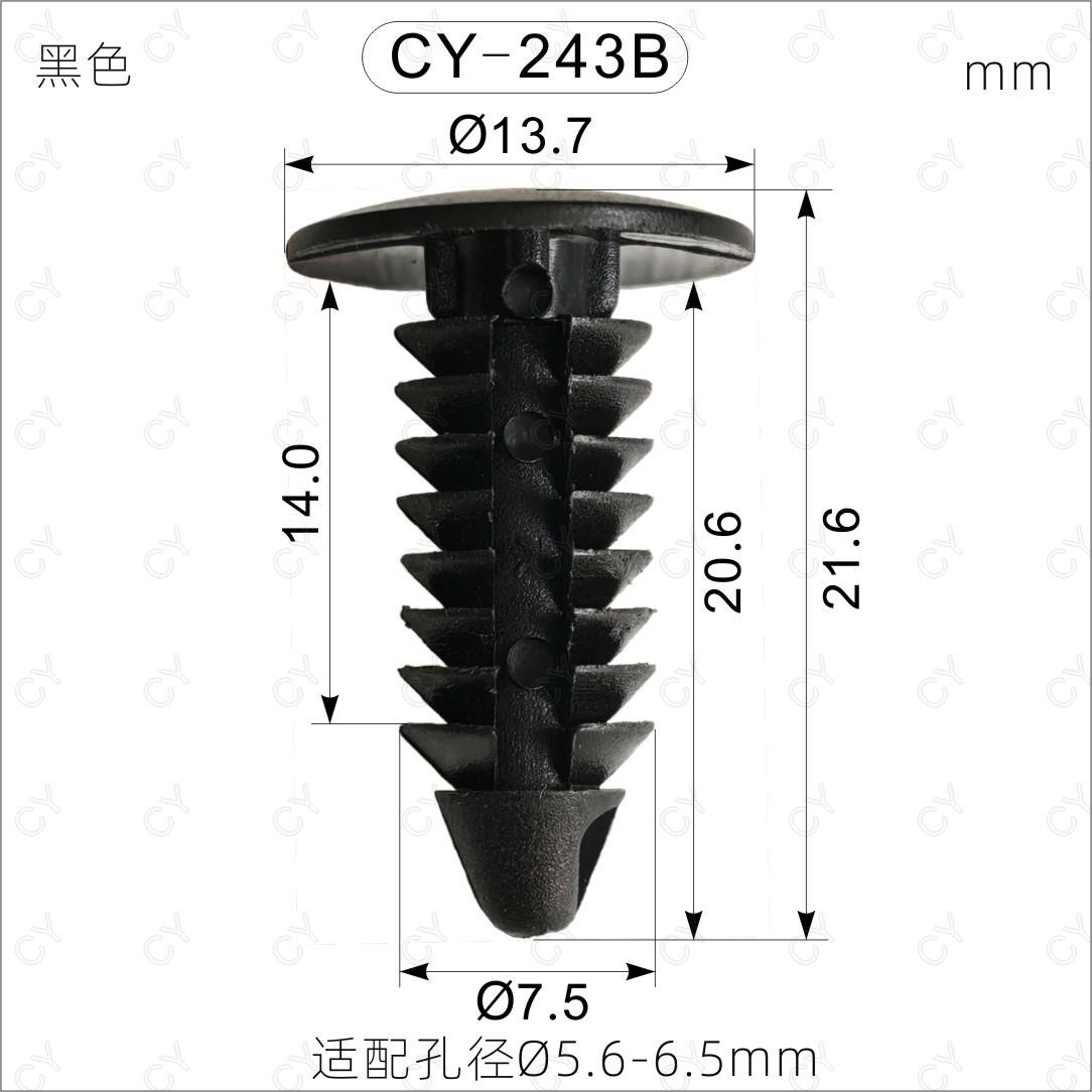 C243（1）.jpg