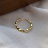 Anillo S925 Plata Esterlina Simple Estilo Ins Estilo Coreano Patrón de Onda Libro Rojo Anillo Nicho Distintivo para Mujer Joyería de Moda