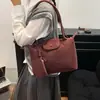 Bolsos de Moda 2025 Bolsos Nuevos para Mujer con Acabado de Alta Gama, Bolsos Cruzados Elegantes y Versátiles, Bolsos de Mano de Nicho para el Trabajo, Bolsos Pequeños de Hombro Único