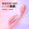 Vibrador Lailaidian g de Segunda Onda Transfronteiriço Artefato de Masturbação Corporal Feminina Produtos Adultos Brinquedos Sexuais Brinquedos Sexuais