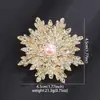 Broches de Ropa para Hombres y Mujeres, Aleación con Pedrería, Diseño de Nicho, Pin para Solapa de Traje, Accesorio Antiexposición, Aleación de Zinc