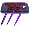 Tijeras de belleza para mascotas de 7.0 pulgadas color negro galvanizado 5 dientes de corte recto tijeras de corte curvo tijeras de hueso de pescado peine de fila en stock