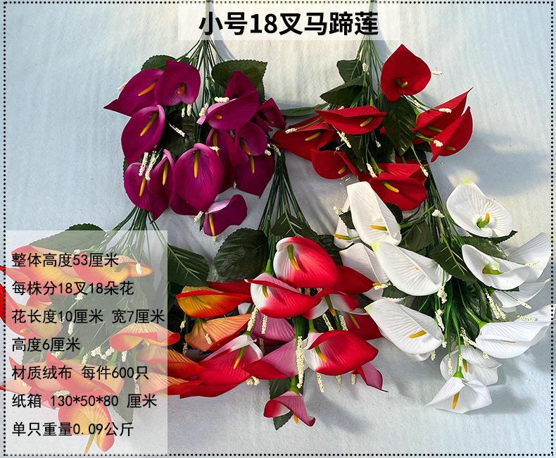 产品信息图-1.小号.jpg