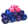 Halteres para fitness feminino em casa, equipamento de treino de força masculino, exercício para iniciantes treinar músculos dos braços, par de halteres transfronteiriço