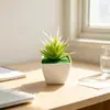 Planta de aloe vera artificial em miniatura em vaso para e-commerce transfronteiriço, adequada para tampos de mesa de restaurantes e hotéis, bonsai suculento, adereços para fotografia interna