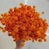 Flor de montanha pequena buquê de flores secas decoração luz luxo high-end diy material real flor air-dried importado espécime material de flor