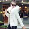 Nuevo Abrigo de Algodón con Cuello Grande de Piel para Mujer, Abrigo Corto de Algodón con Capucha, Chaqueta de Algodón Cálida Ajustada a la Moda
