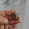 Artesanías antiguas, pequeños adornos, mantis, abeja, insecto, mascota de té, latón, grillo, cucaracha, hormiga, divertido, escarabajo, decoración