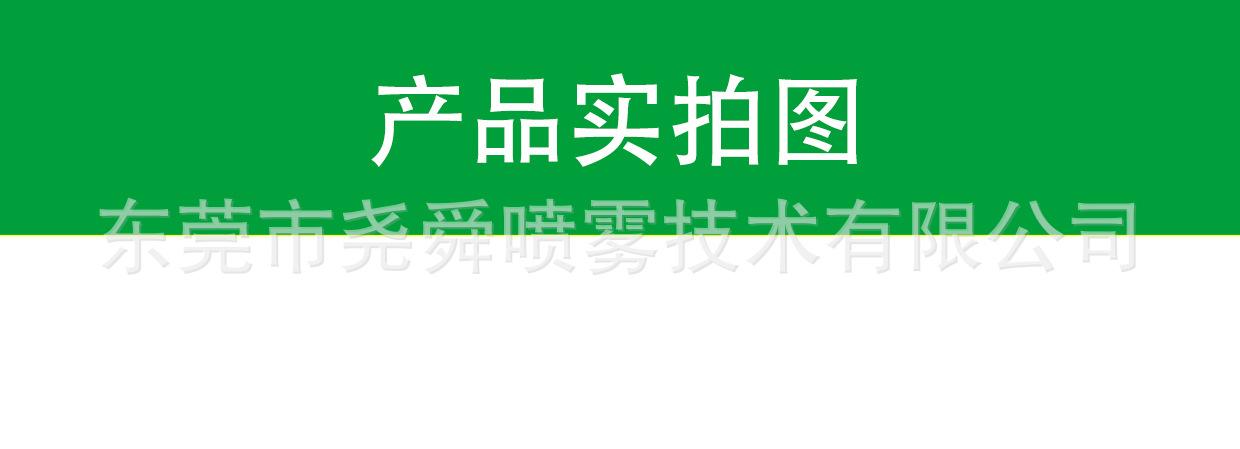实拍