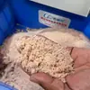 Malásia Moagem de Coco Ralado Coco Rei Moedor Frutas e Vegetais Moedor de Lama Máquina Fábrica Desconto Venda Direta Lama Ralada ou Lama