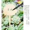 Letrero de bambú de madera con flores, tarjeta con logotipo, tarjeta de jardinería creativa, etiqueta para plantas suculentas de jardinería al por mayor