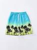 Nuevos Shorts de Playa Casuales de Primavera y Verano para Niños, Tela de Malla Interior para Niños, Vacaciones, Sueltos, Cordón Ajustable, Shorts Deportivos Finos