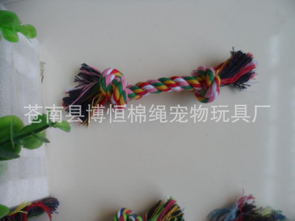 SAM_2032