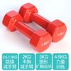 Juego Completo de Mancuernas Recubiertas de Plástico para Mujeres y Hombres, Gimnasio en Casa Yoga Ejercicio Mancuernas Pequeñas, Juego de Mancuernas de Hierro Puro Fundido Sólido