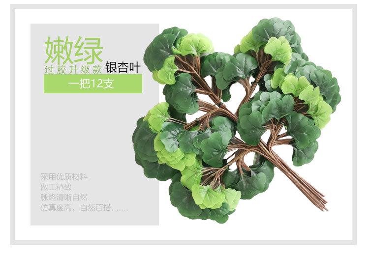 银杏叶详情_04.jpg