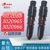 En Stock 3020965 3020966 Conjunto de Inyector de Combustible/Adecuado para Piezas de Motor de Combustible Automotriz Cummins