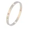 Pulsera de Acero de Titanio No se Desvanece, Pulsera Plateada Nicho para Niñas Incrustada con Diamantes, Pulsera de Acero Inoxidable Electrochapada en Oro de 18K Moderna y Versátil