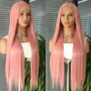 Amazon Cross-border Nova Moda Europeia e Americana Peruca Rosa Longa Lisa Estilo Front Lace Cobertura Total da Cabeça