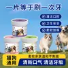 Toallitas Limpiadoras Bucales para Mascotas, Universales para Gatos y Perros, Cuidado de Oídos, Cepillo de Dientes, Eliminación de Sarro, Eliminación de Manchas de Lágrimas, Toallitas para Mascotas